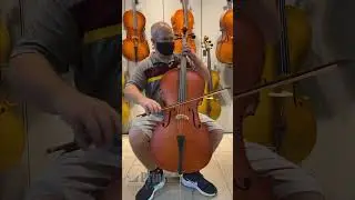 Strumenti a Corde 106 cello demo cello review student cello 4/4 full size orchestra school cello