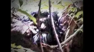 THE TROLL/Leo Frank ~ World Bigfoot Radio #54 ~