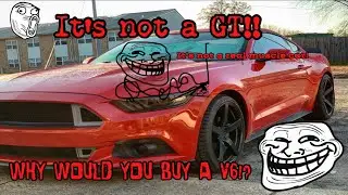 Why Hate the V6 Mustang?