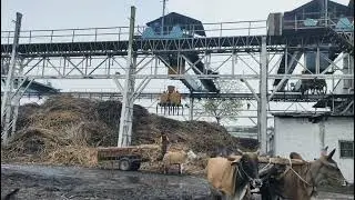 SUGAR MILL . GOPALGANJ INDIA .