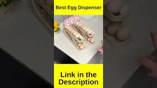Top Egg Dispensers Reviewed: Automatic Roll-Down & Double-Layer Options | Ultimate Guide