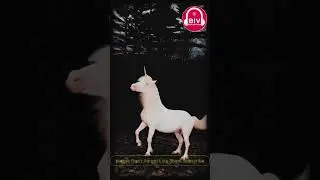 White Unicorn #shorts