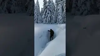 Barınak yapabilmek i&ccedil;in g&uuml;zel bir yer bulduk❄️❄️❄️ Devami gelecek...