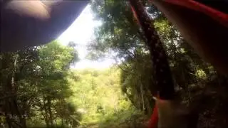 Darn Flying Fox at Escape Penang