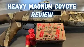Coyote Shotgun Loads -Hornady Heavy Magnum Coyote