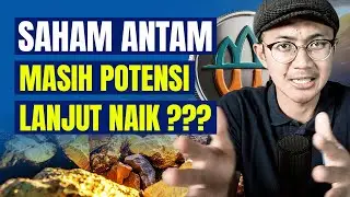 1 BULAN NAIK 41% !!! BERAPA HARGA WAJARNYA ?