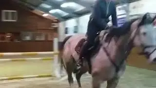 Hobble Kortenbosch jumping