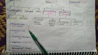 component of plasma membrane @TEACHINGPATHSHALA