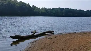 Lake Needwood | Rock Creek Regional Park