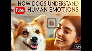 How Dogs Understand Human Emotions | Furry Minds