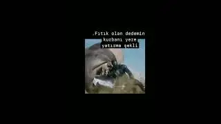 Fitik(supheli)