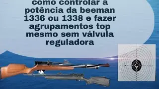 disparos ruins com a beeman 1336 ou beeman 1338 nunca mais