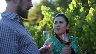 Experience: Ampelography Master Class | Napa Valley Sustainable Winery | St. Sup&eacute;ry Estate Vineyards