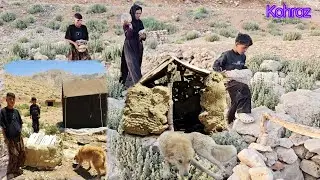 Nomadic Life: Building a Warm and Durable Shelter for a Guard Dog on Cold Nights