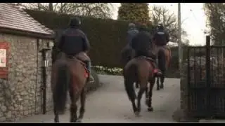 Cheltenham Gold Cup 2011 Kauto Star, Denman, Big Buck's final preparation
