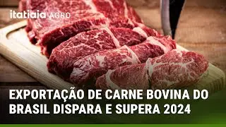EXPORTAÇÃO DE CARNE BOVINA DO BRASIL DISPARA E SUPERA 2024