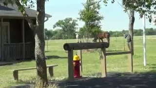 Horse Pasture Care - Discussing Things That Can Help or Hurt Your Grazing Pastures