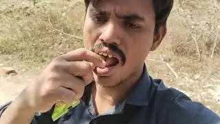 Hiii Friends Happy makar Sankranti 