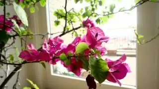 LoDo Penthouse For Sale | Usaj Realty