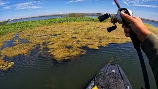 Summer to Fall transition on the California Delta (Best day of 2025)