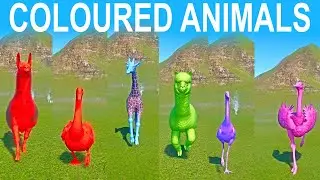 Гонка на скорость в категории &laquo;Цветные животные&raquo; в зоопарке Planet Zoo включает: страуса, жирафа,...