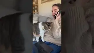 Failed Cuddle Attempt 😿🐱 | When the Cat Says &ldquo;No Thanks&rdquo;