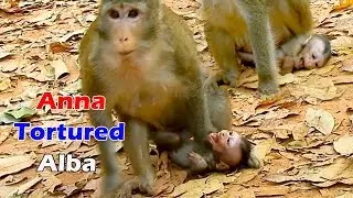 SHOCKING HEART ! Abnormal mom Anna hurt poorest Alba nearly die, Pity Alba cry shock cuz bad mom