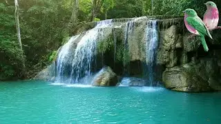 🎧Picturesque Turquoise Waterfall In The Jungle + Birdsong For Restful Sleeping,Improve Concentration