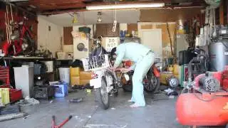 Andrew Cox - Swine 2
