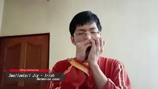 Swallowtail Jig - Irish folk song on Harmonica