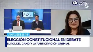 Análisis | Elección constitucional en debate: el rol del CANG y la participación gremial