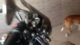 Intruder Guidão rx 180