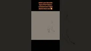 Fox Study Time-lapse