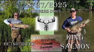 Michigan River Salmon