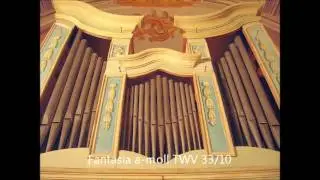 Georg Philipp Telemann (1681-1767): Two fantasias TWV 33 - Walter Gatti, organ