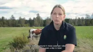 Milk more cows using DeLaval Clover&trade; liner with DeLaval VMS&trade; milking robot (with subs)