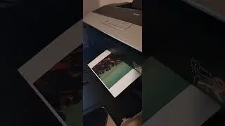 Printing on Epson R2880, epson archival matte paper.