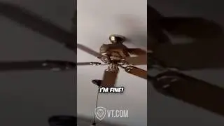 Squirrel Trains on Ceiling Fan Like It&rsquo;s a Treadmill. 🐿️