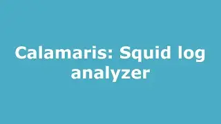 Calamaris: Squid log analyzer