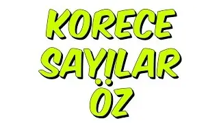 6dk'da KORECE SAYILAR ÖZ
