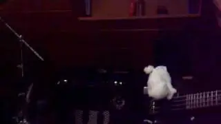 Kitty Bass