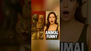 Animal Fails&hellip; But Make It ART 🖼️🤣 #funny #funnyanimals #memes