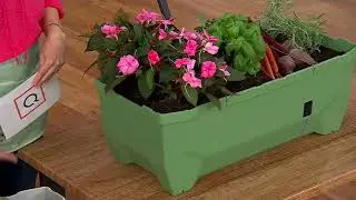 Gusta Garden Self-Watering Raised Garden Bed with Cover on QVC