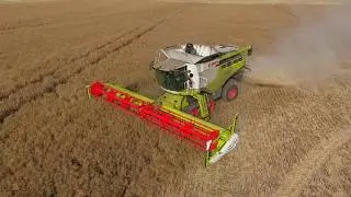 Essex Farms Oil Seed Rape Harvest 2020