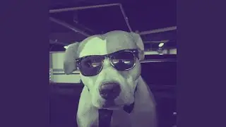 Ni Tan Mal, Chuchaqui Total