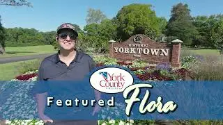 York County's Featured Flora - Switching from Summer to Fall Flowerbeds