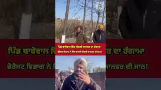 ਪਿੰਡ ਬਾਬੋਵਾਲ ਵਿੱਚ ਜੰਗਲੀ ਜਾਨਵਰ ਦਾ ਹੰਗਾਮਾ | LIVE Rescue Video #latestnews #gurdaspur