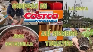 Acompa&ntilde;ame a Costco/siembro tomates/ hago jugo de ketembilla y mas...