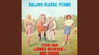 Gde si posao dragi Ilija