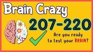 Brain Crazy Level 207 208 209 210 211 212 213 214 215 216 217 218 219 220 Walkthrough Solution